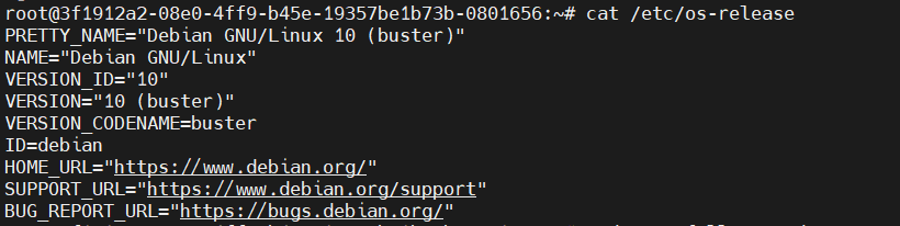 Debian 10 (Buster) 升级 Debian 11 (Bullseye)